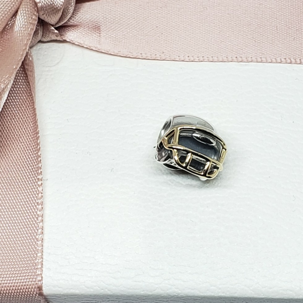 Pandora Two tone charm